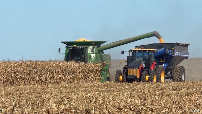 US Farmers Harvest Amid Trade, Impeachment Uncertainty