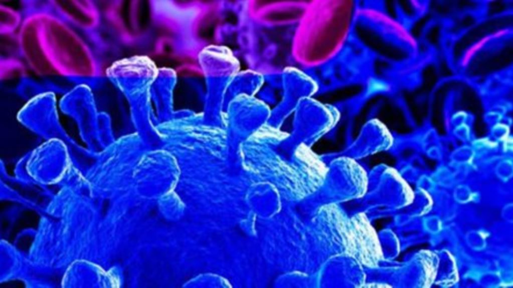  OMS: «El COVID-19 es ahora una pandemia»