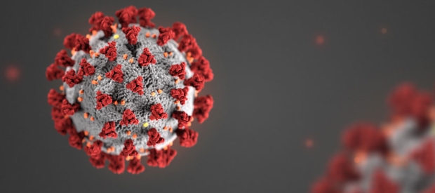  US Study: New Coronavirus Strain Spreading Faster