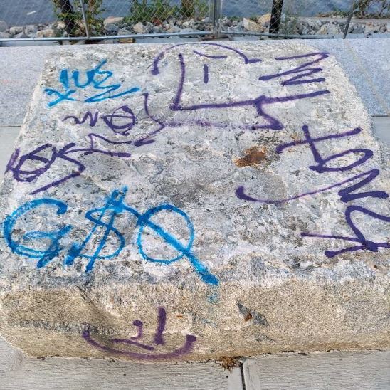  La policía de Providence busca identificación en relación con: Puente peatonal del río Providence Daños maliciosos / incidentes de graffiti