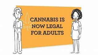  Rhode Island se convierte en el decimonoveno estado en legalizar el cannabis para adultos