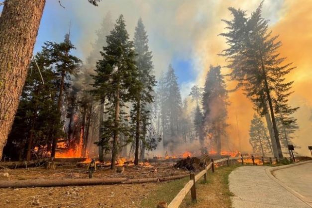  Arde incendio cerca de parque Yosemite en California