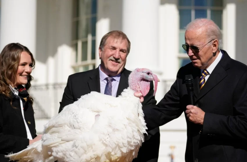  Como marca la tradición, Biden indulta a dos pavos por Acción de Gracias