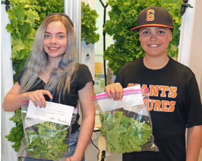  Alumnos de quinto grado de Carver llevan alimentos frescos a sus mesas de cocina después de la cosecha de lechuga hidropónica